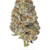 AAAA Beach Crasher By: Jungle Boys Hybrid Buy Weed Online