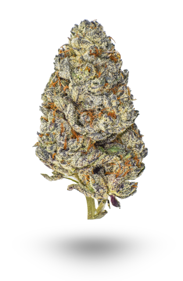 🏆#1 Karma Cup: AAAA Cherry AK 47 By Paradise Exotic Quads ☀️ Flowers Buy Weed Online