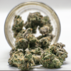 AAAA Sour Haze By Buddha Boys Flowers Buy Weed Online