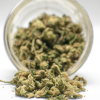 Ounce Deal: AAA Blueberry Smalls Budget Buds Buy Weed Online