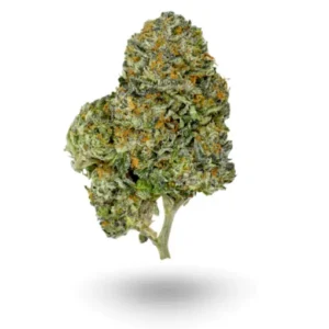 🏆 Cannabis Cup: AAAA Medusa Hybrid Buy Weed Online