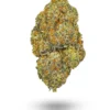 🏆 Cannabis Cup: AAAA MAC Hybrid Buy Weed Online