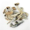 Penis Envy Dried Mushrooms Buy Weed Online