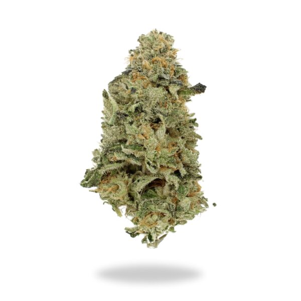 AAA Pie Dough – Organic Hybrid Buy Weed Online