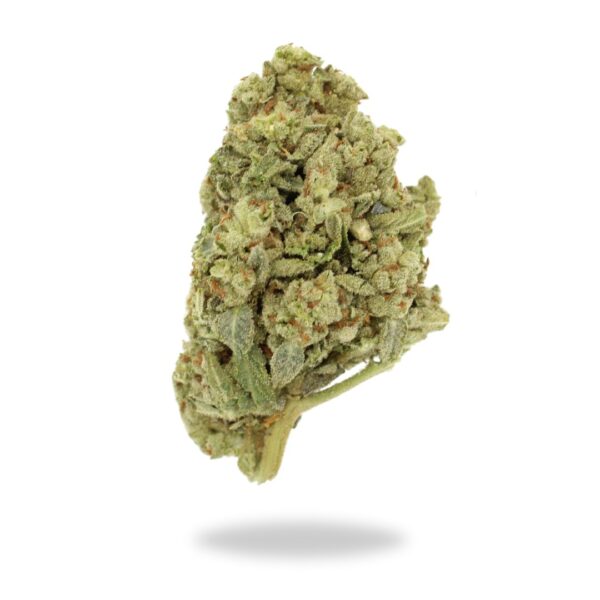 1-2-3 Ounce Deals : AAA Cana Goose (Canadian OG) budget buds Buy Weed Online