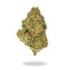 Gram & 1-2-3 Ounce Deal : (A) OG Kush Halloween Special Budget Buds Buy Weed Online