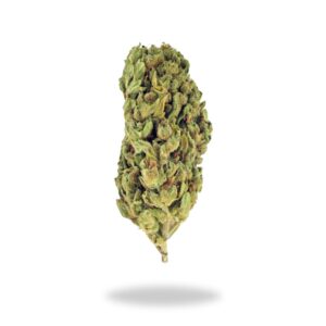 1-2-3 Ounce Deals : (A+) Seaweed budget buds Buy Weed Online